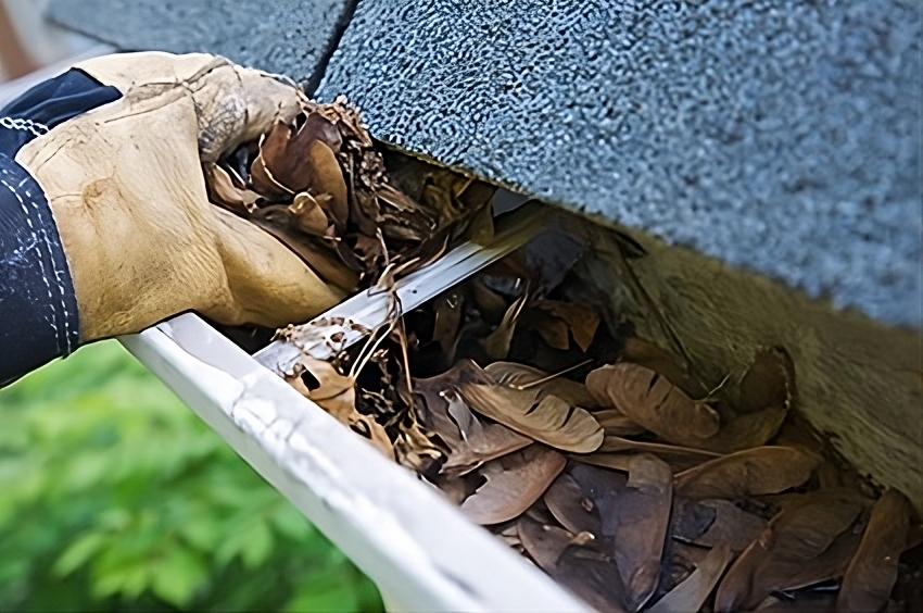 Gutter Cleaning Service Taunton